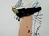 Pintures Jordi Gispert